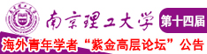 看插逼视频南京理工大学第十四届海外青年学者紫金论坛诚邀海内外英才！